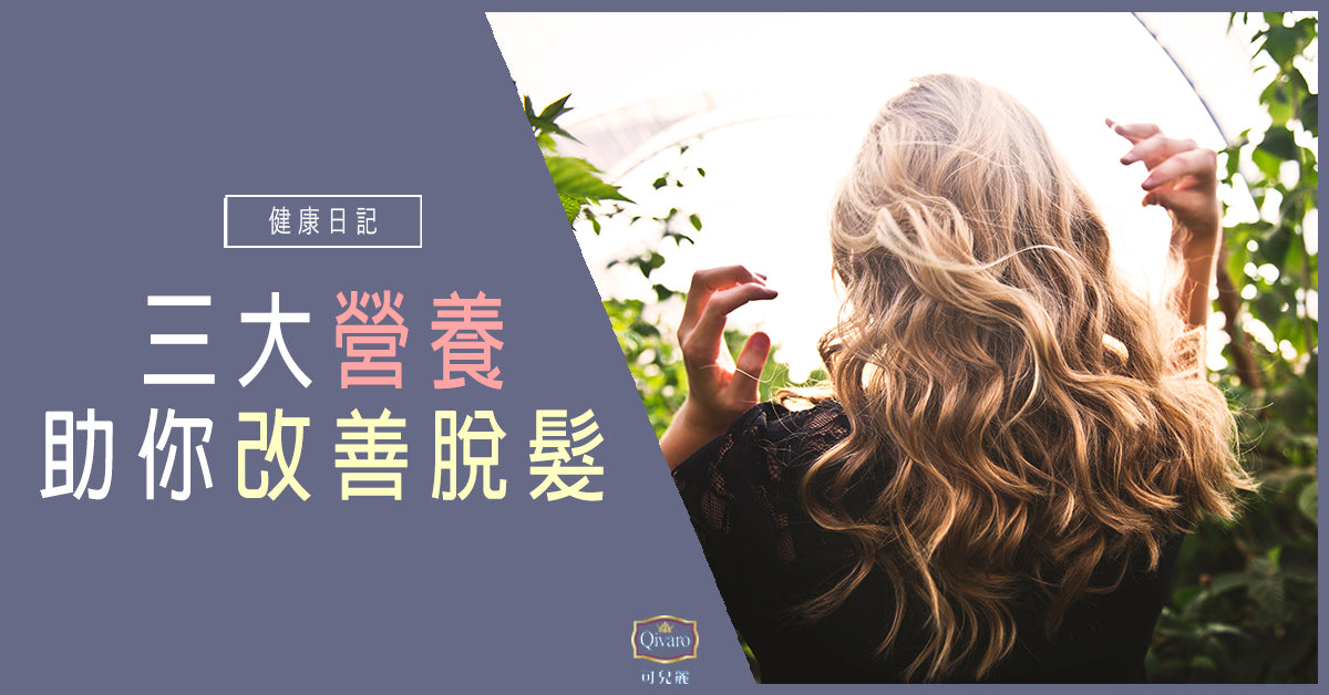 Qivaro健康日記【頭髮健康 | 三大營養 助你改善脫髮問題】