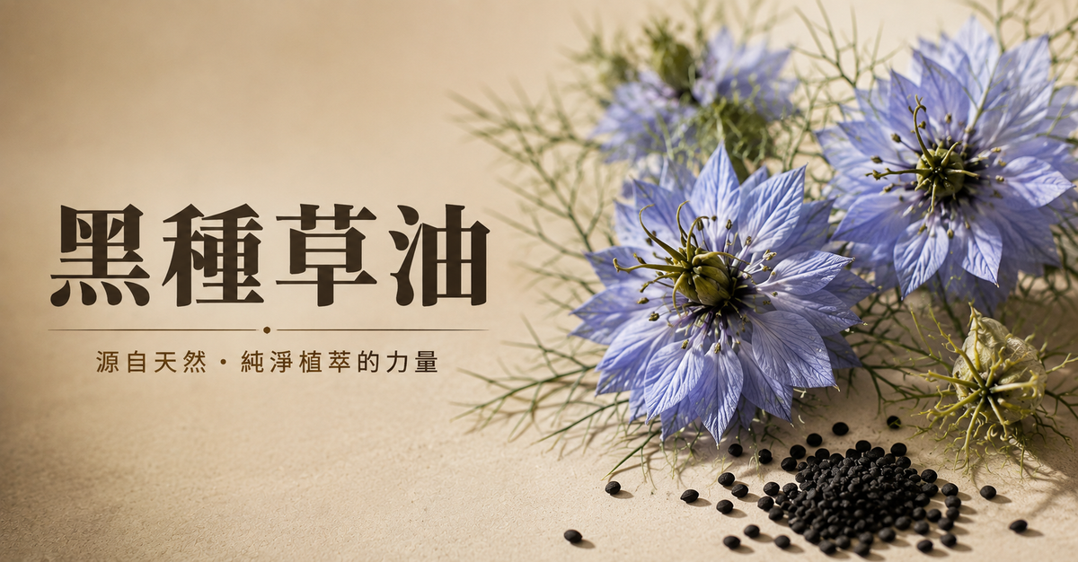 黑籽油標籤怎麼看?學名與劑量標示意義完整說明