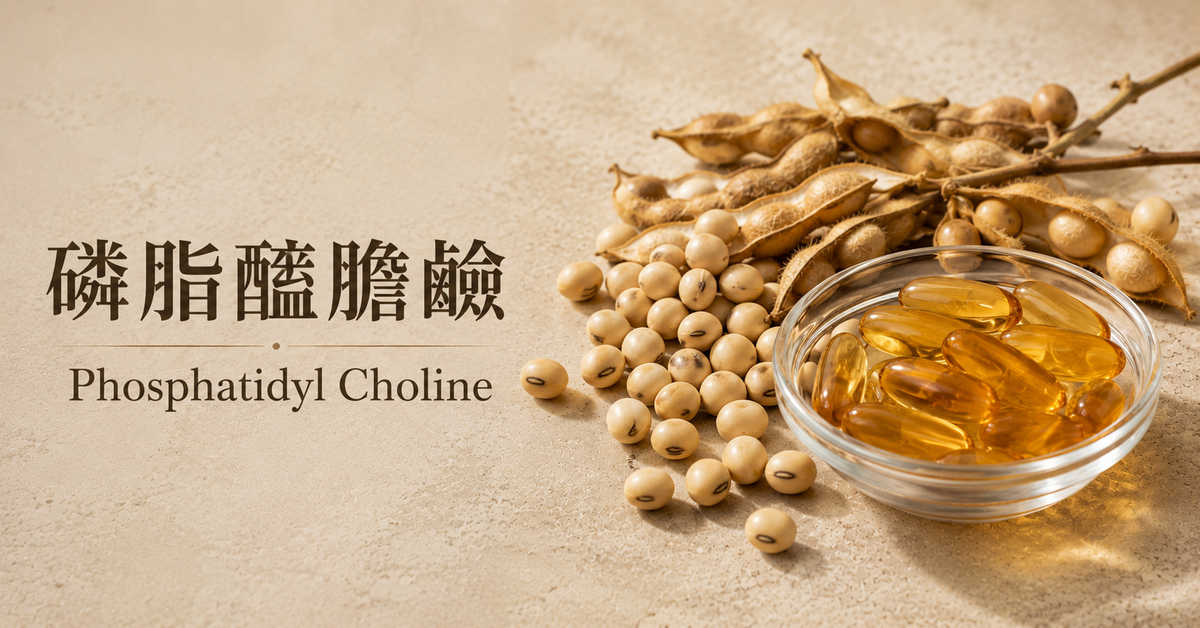 磷脂酰膽鹼標籤怎麼看？大豆來源與過敏原標示解析