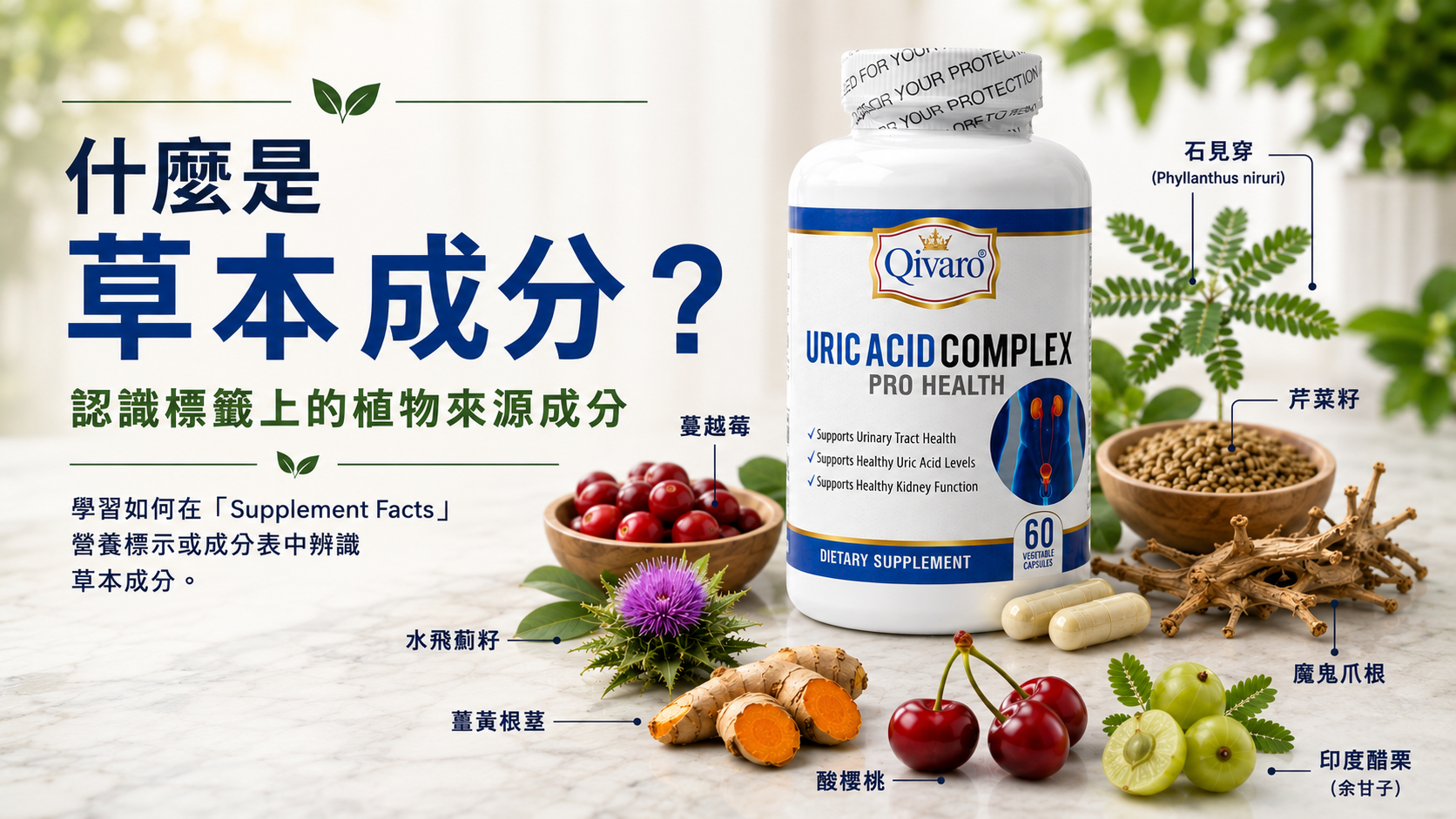 什麼是草本成分？認識產品標示上的植物來源成分