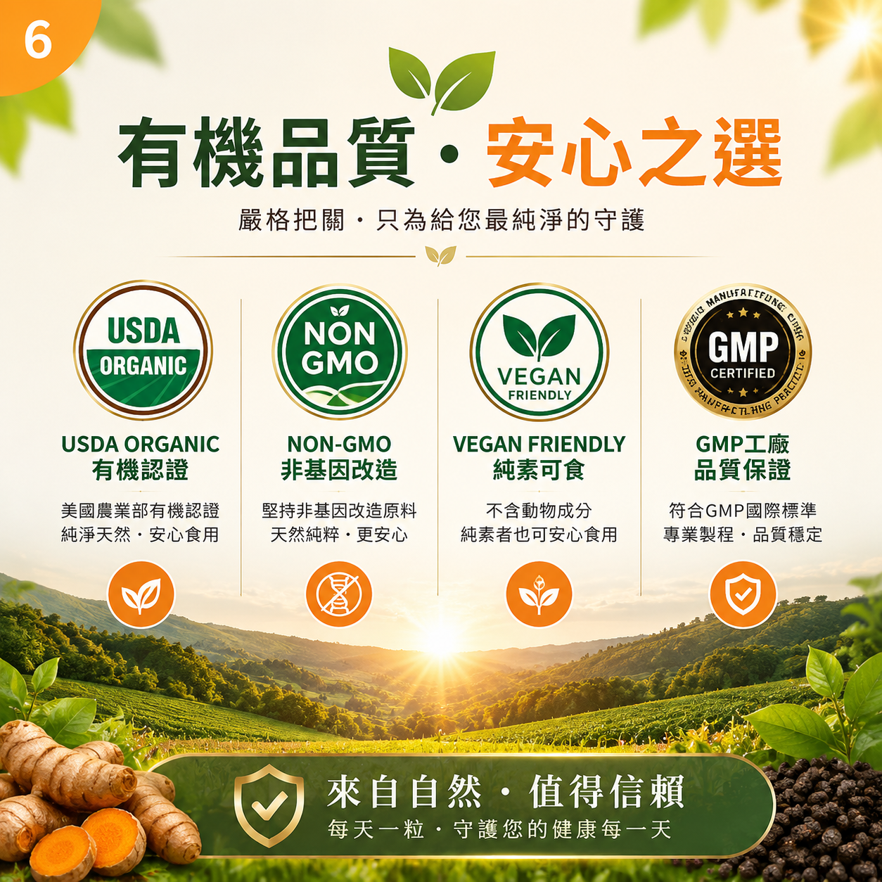 QIH04 | Qivaro 有機薑黃片| Organic Turmeric 700