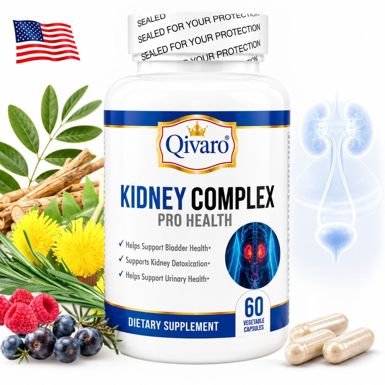 QIH16 - Kidney Complex