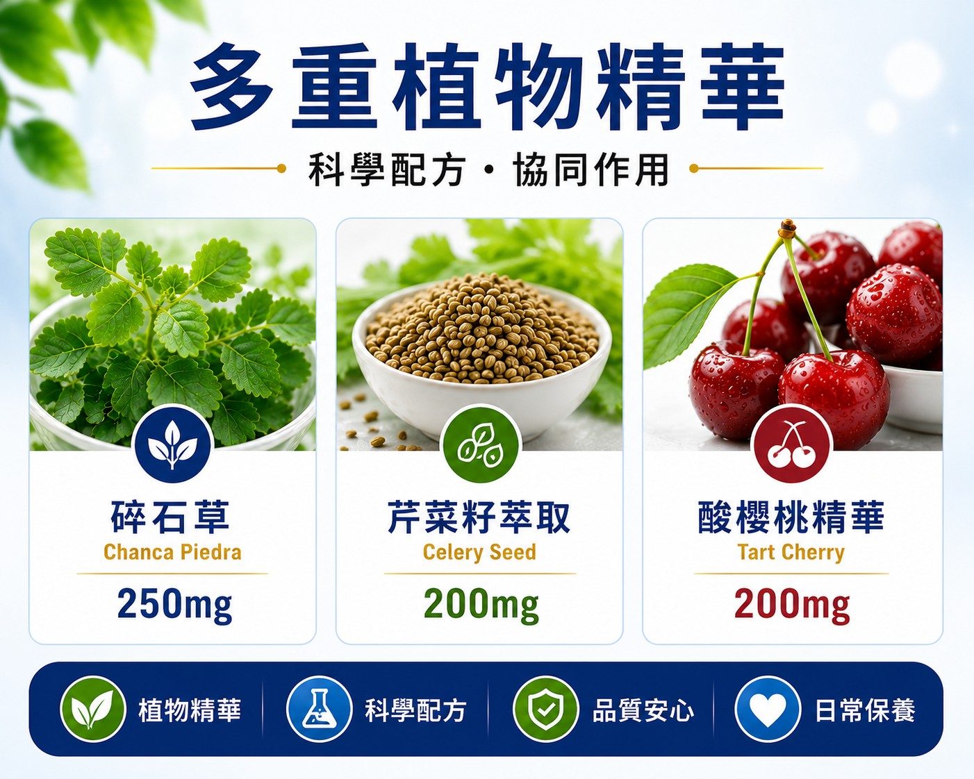 QIH17 | 清尿酸寶 Uric Acid Complex