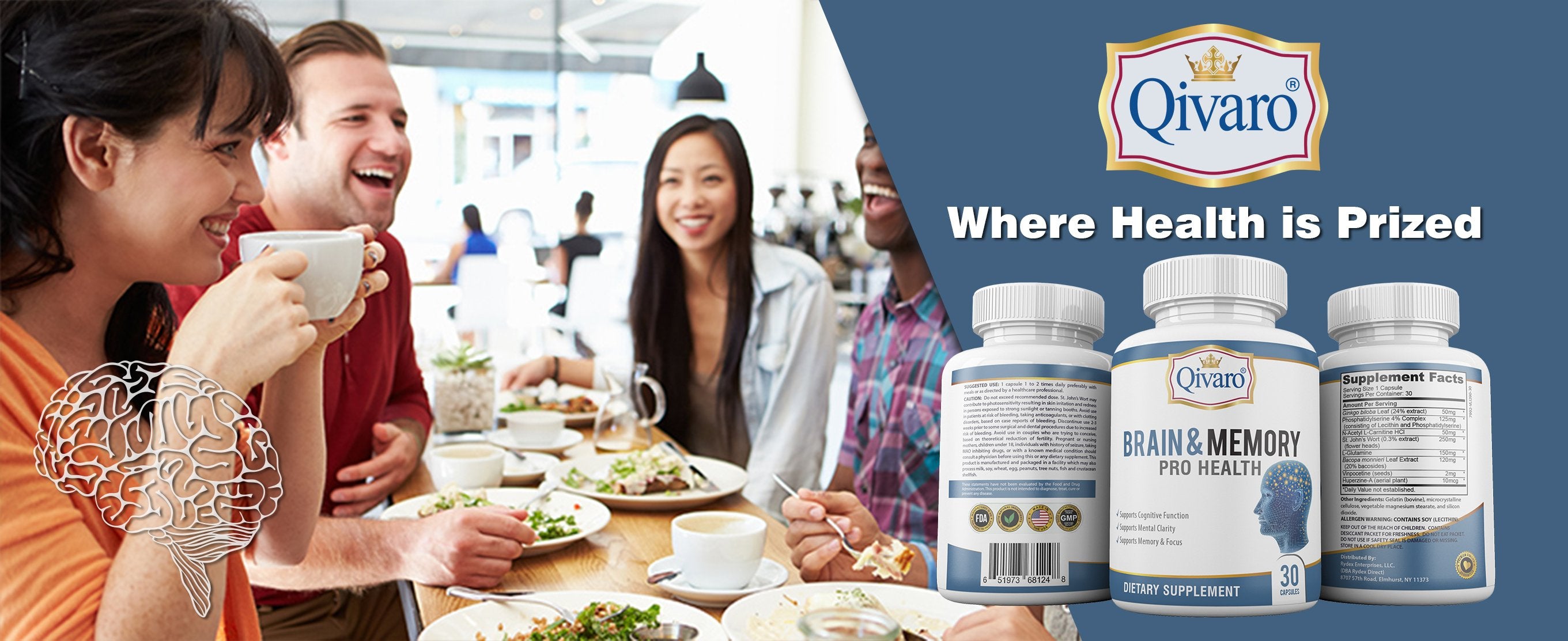 QIH11 - Brain & Memory