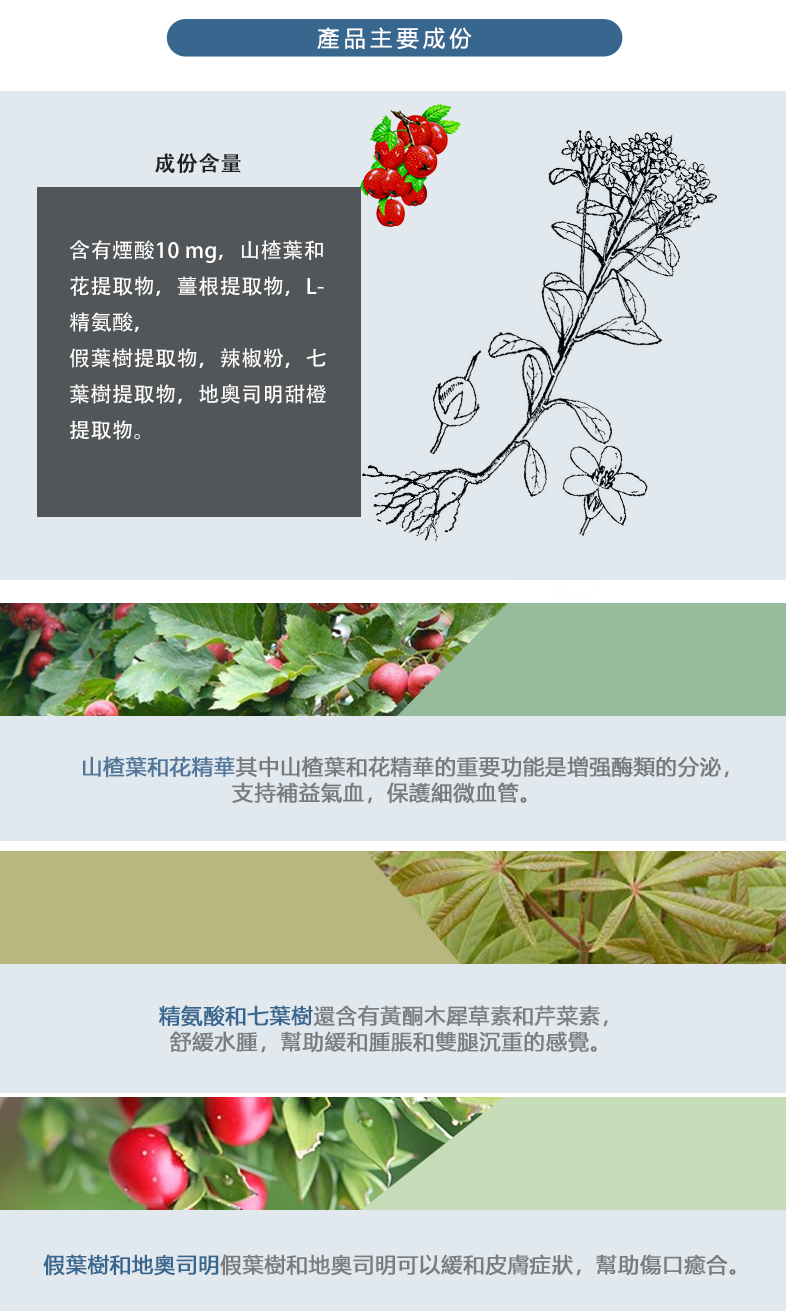 Combo 3-in-1 Pack: QIH19 Circulation & Vein