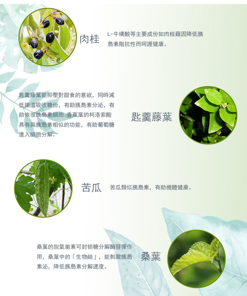 Combo 3-in-1 Pack: QIH21 Ultra Blood Sugar