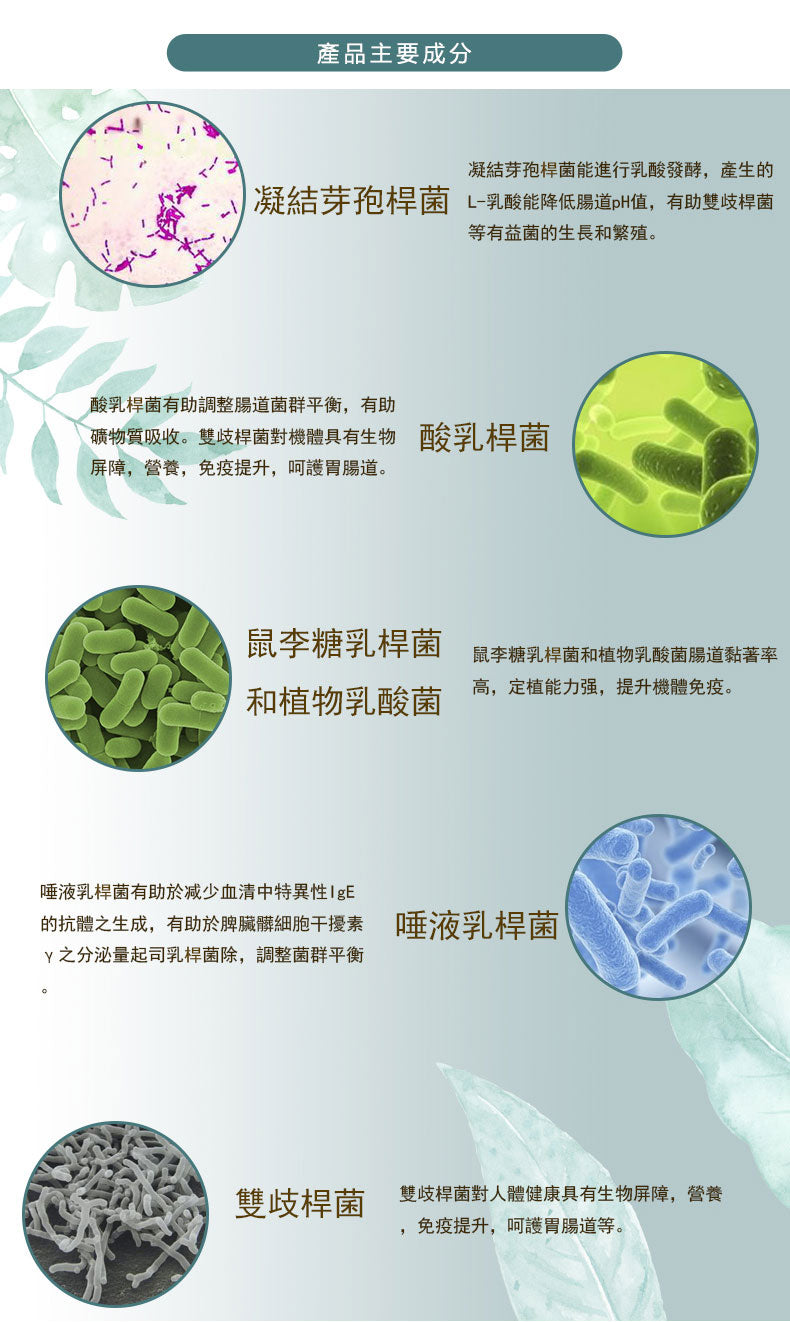 Combo 3-in-1 Pack: QIH32A Probiotics Complex